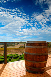 View over an Australian winery